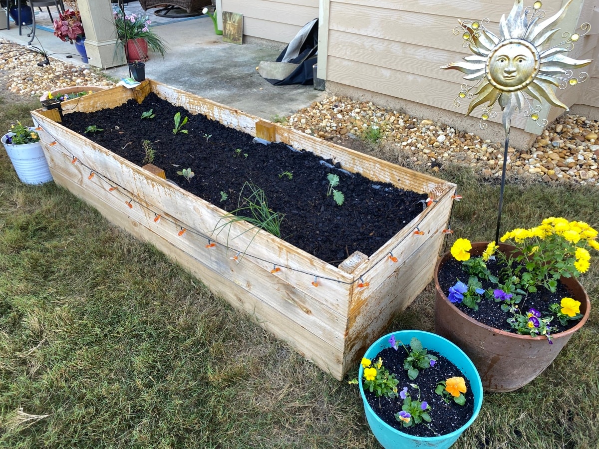 Spring Planting Guide