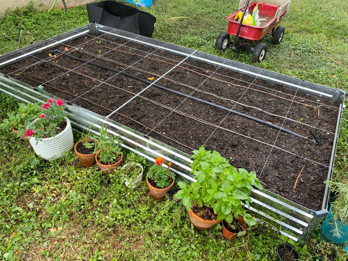 Drip Irrigation System