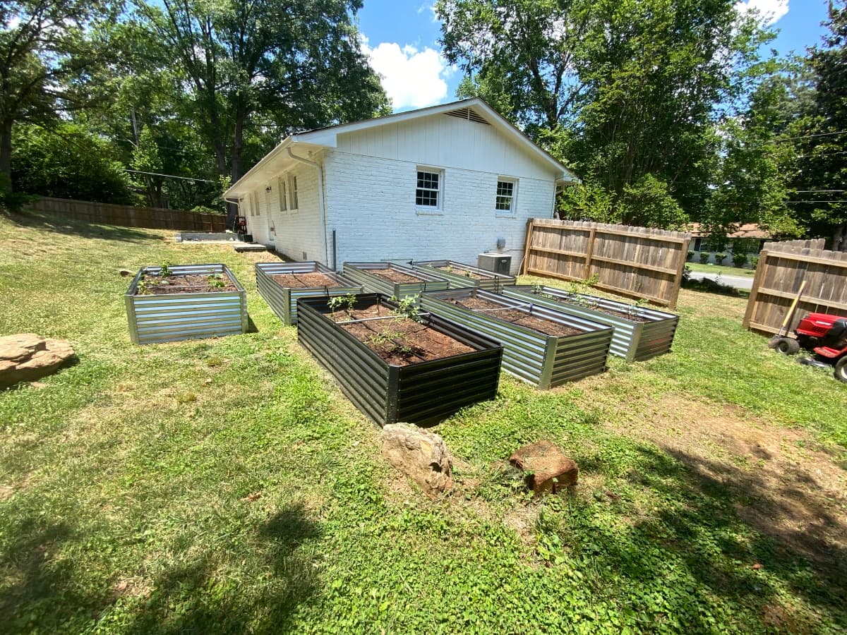 Drip irrigation and Raised Beds