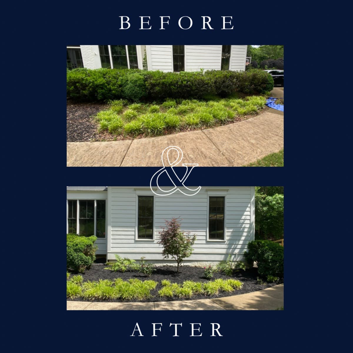 Japanese Maple Centerpiece