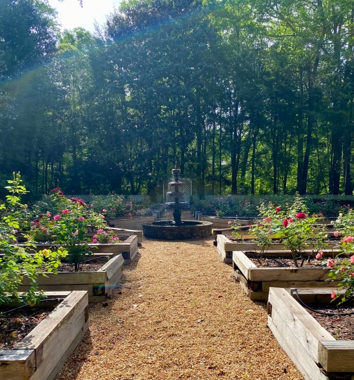 High-end garden design service in Marietta and Atlanta area by Gardening Thyme