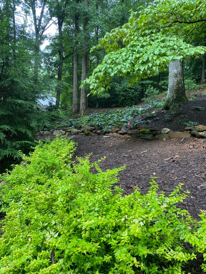 Professional groundskeeping and garden maintenance services in Alpharetta and Marietta by Gardening Thyme