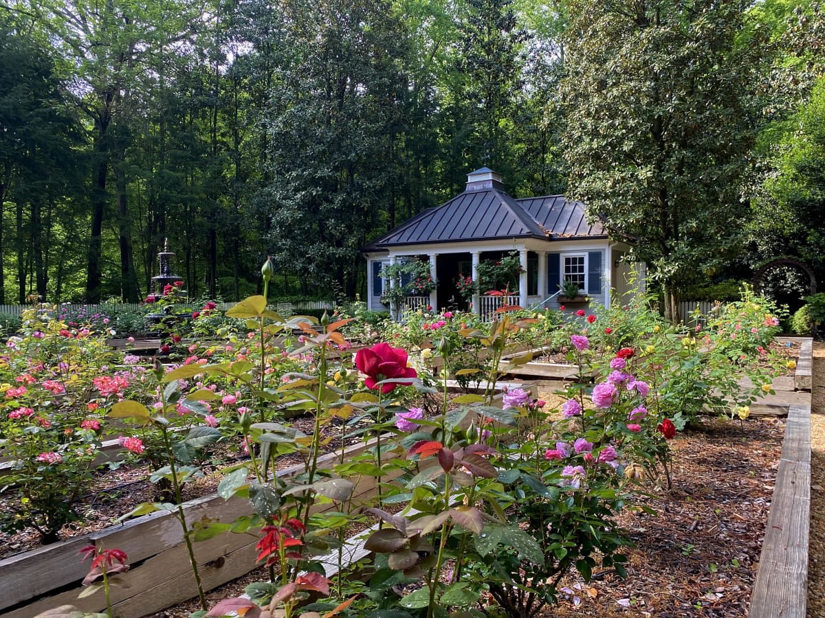 High-end garden design services in Marietta and Atlanta by Gardening Thyme - professional landscape design featuring pollinator gardens