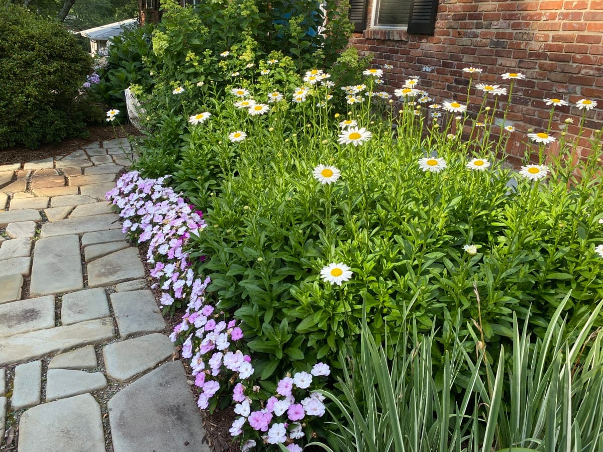 Professional front garden landscape design