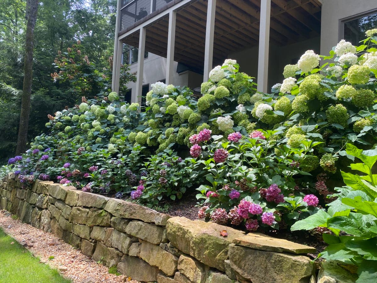 Professional garden design and landscaping services