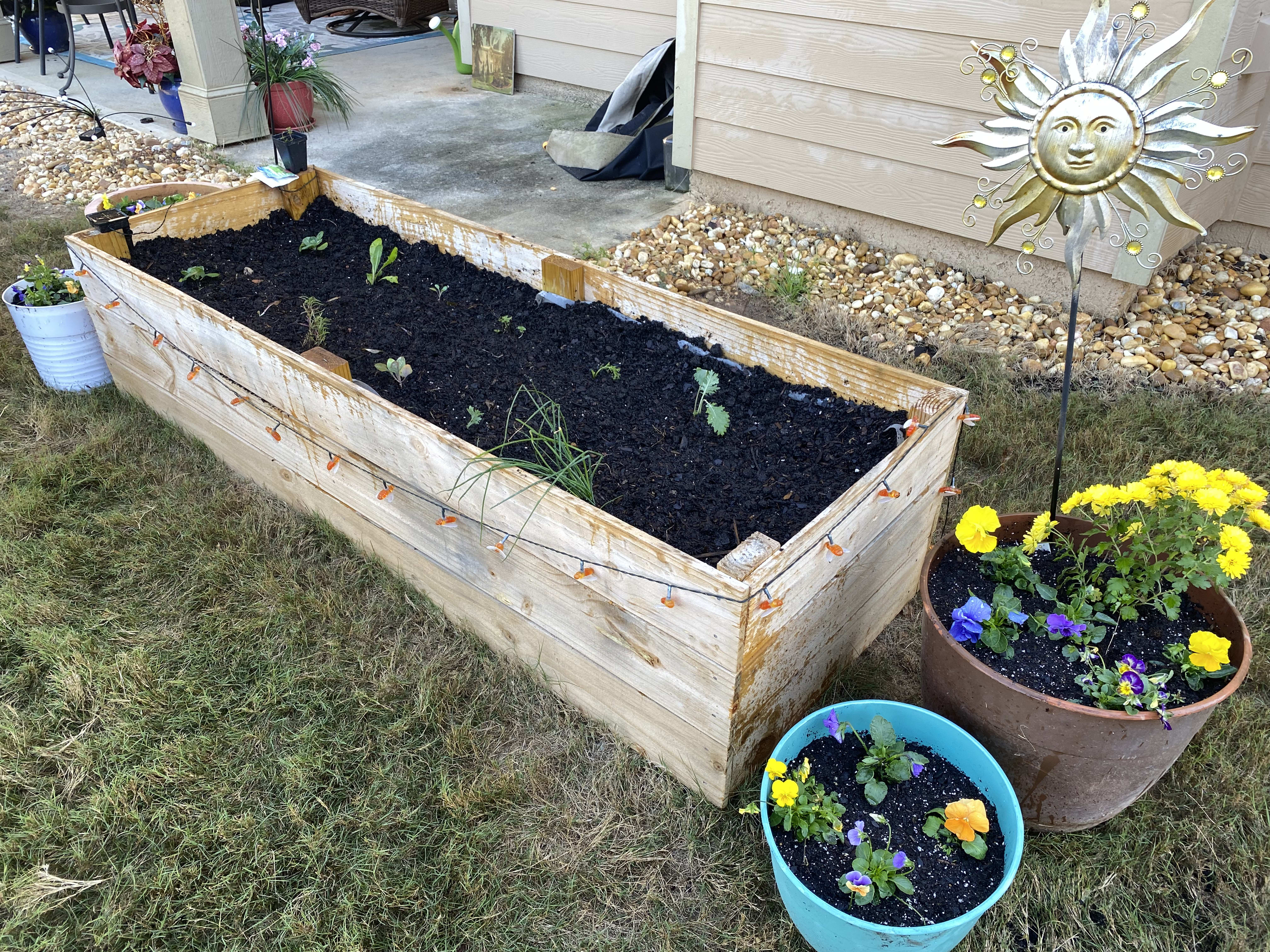 Spring Planting Guide