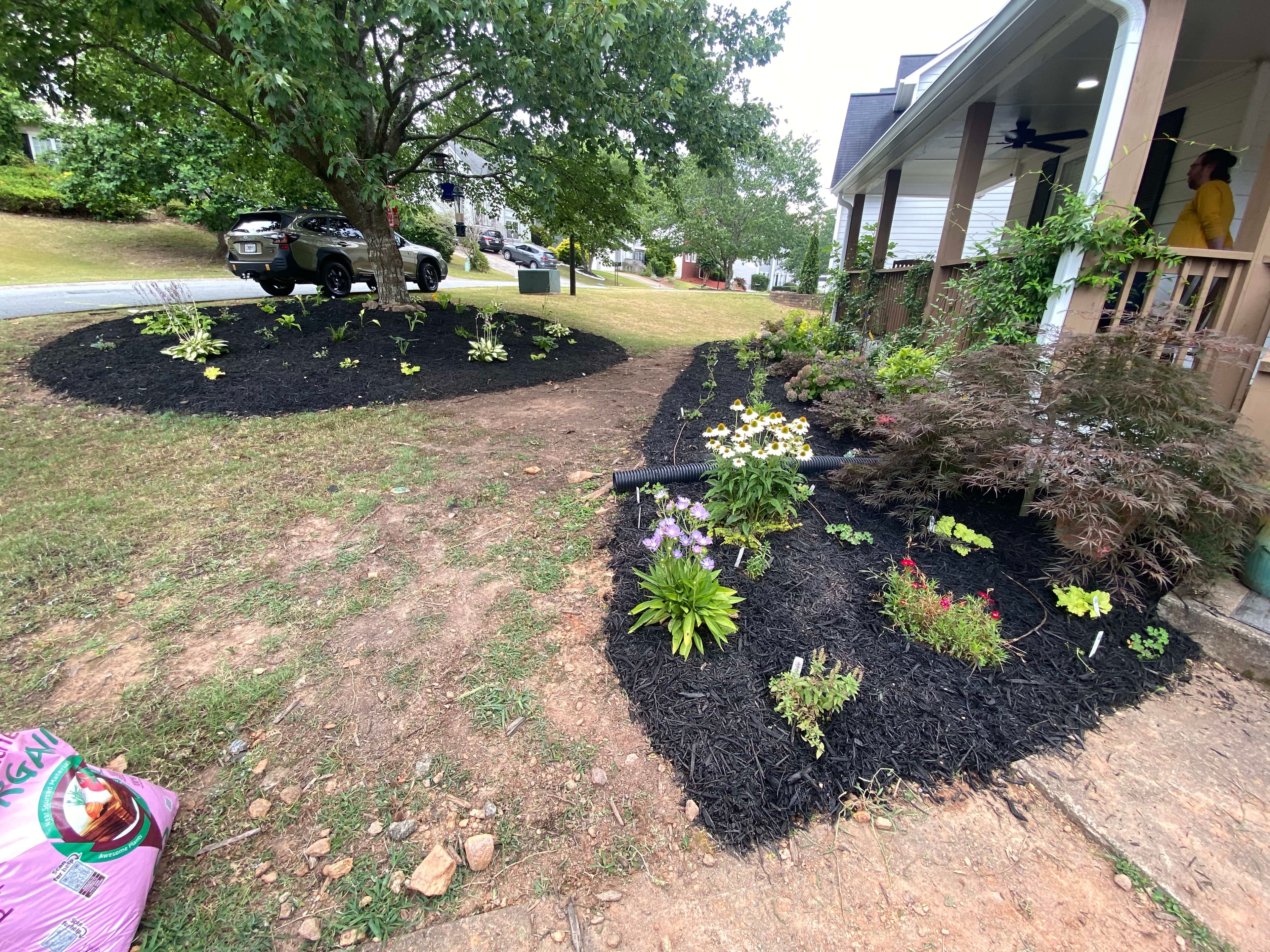 Drip Irrigation and Planting