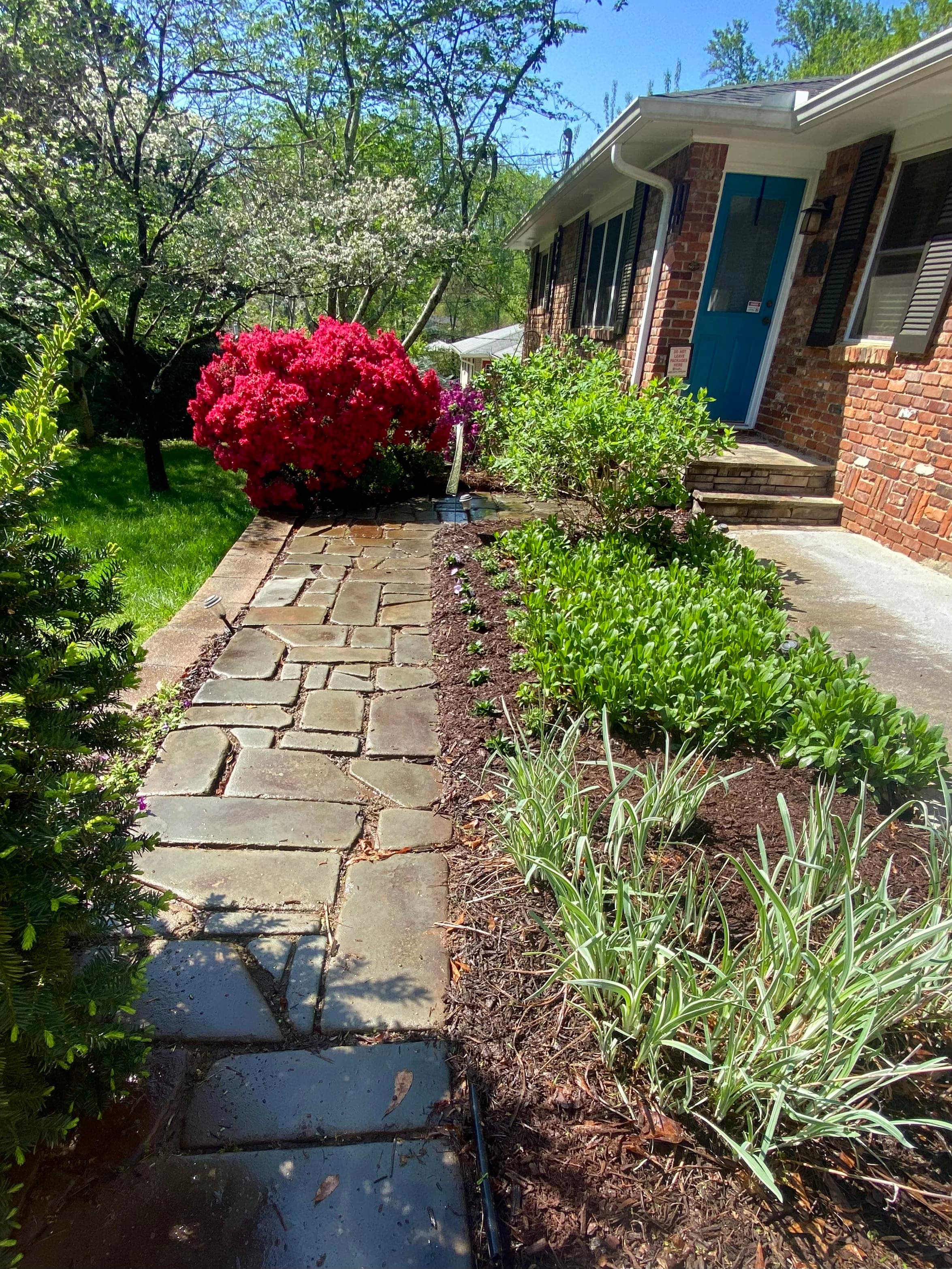 Property Maintenance with Annual Planting