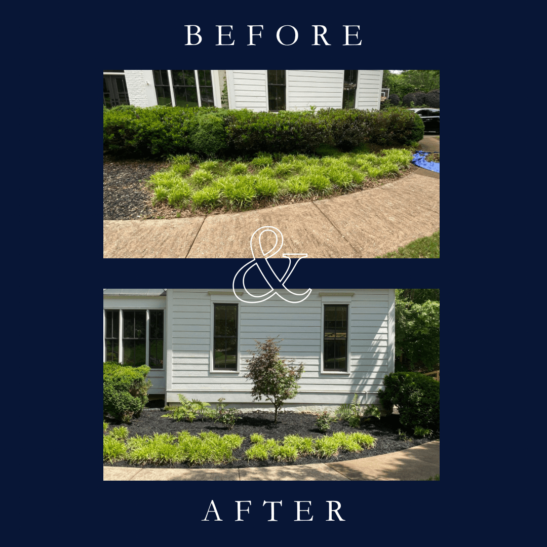 Japanese Maple Centerpiece