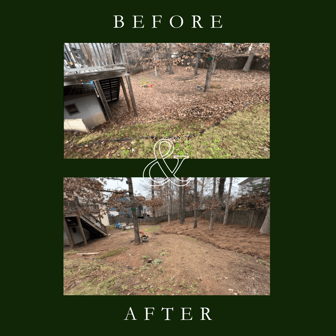 Full Leaf Removal and Pinestraw