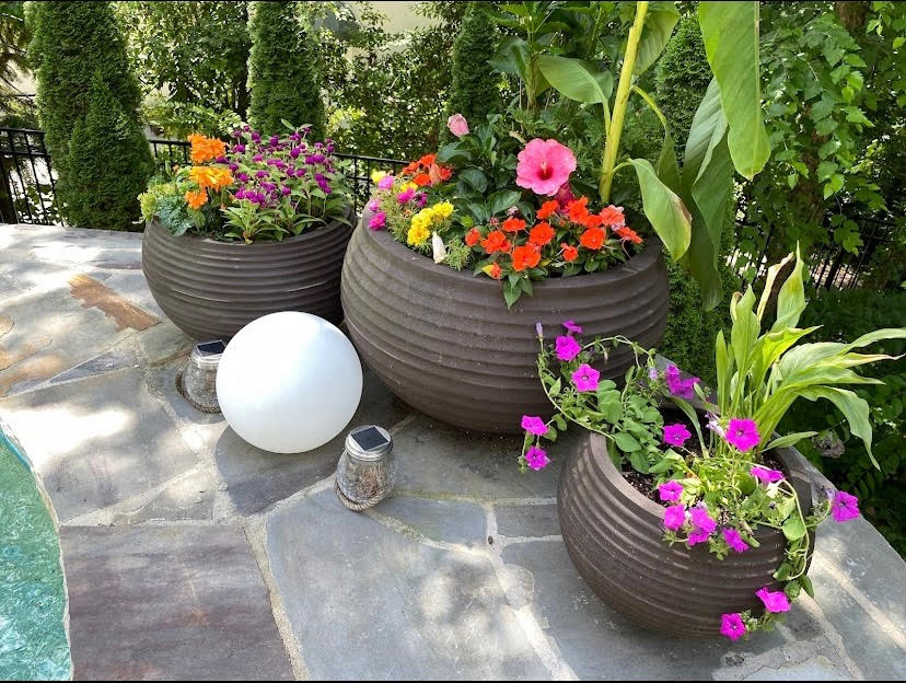 Container Gardening for Small Spaces